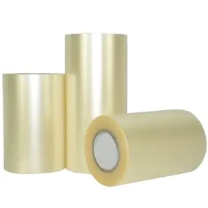 Transportador PVC Transparente para Vinilo | Rotulación